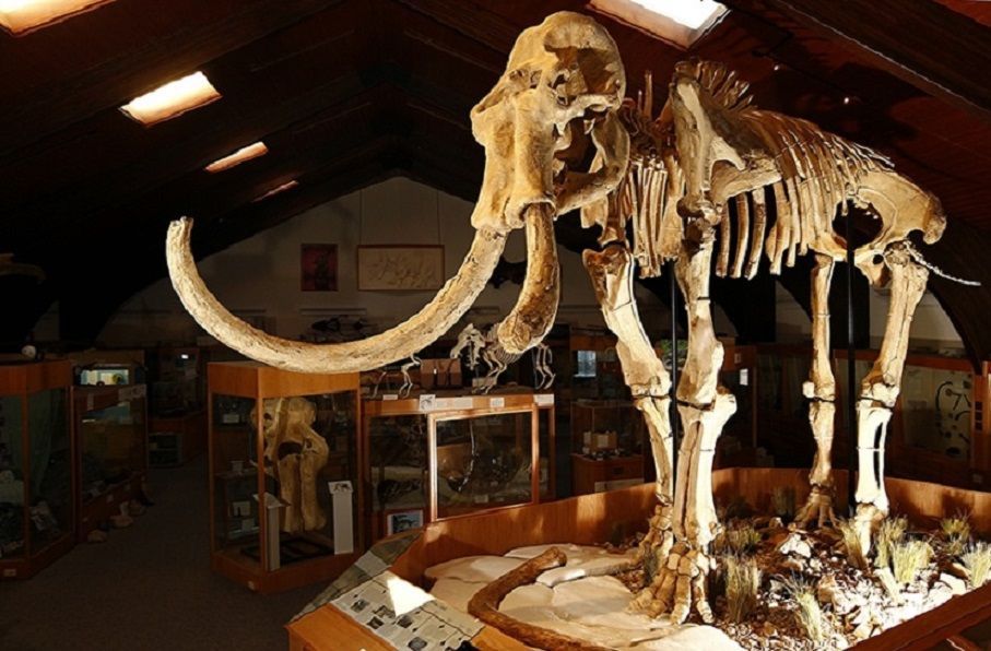 Tate Geological Museum